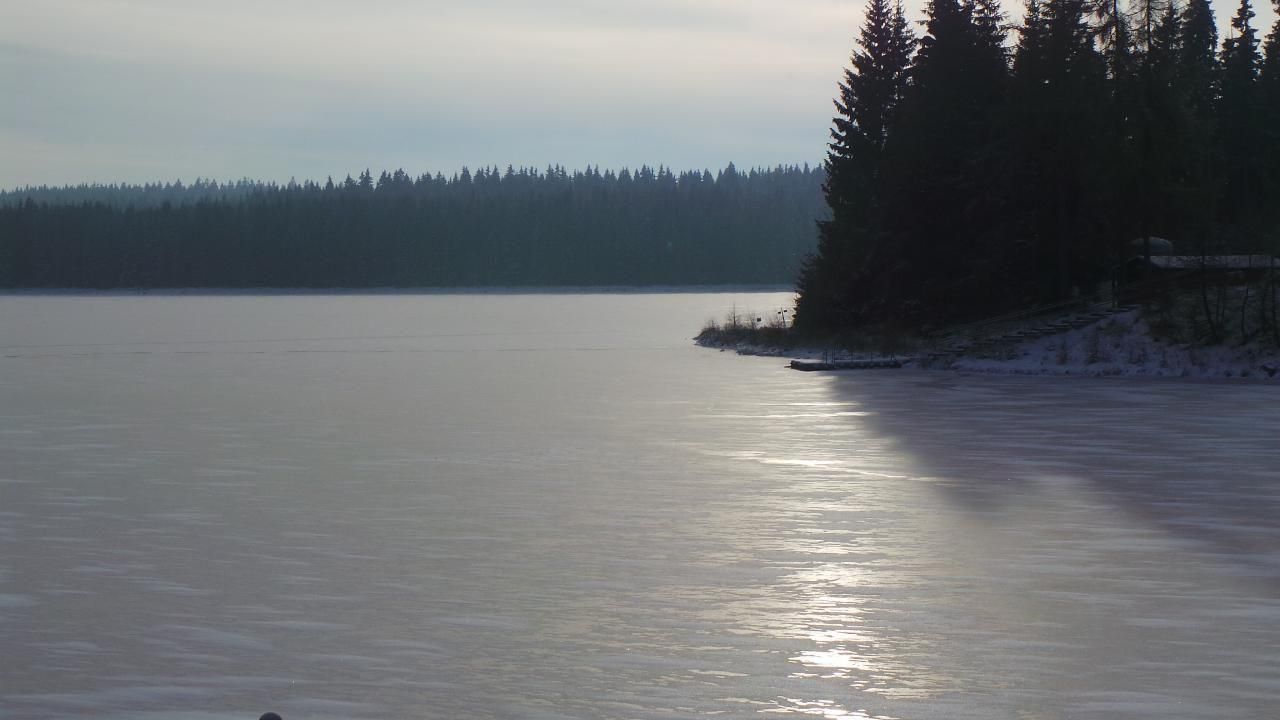 Westufer Talsperre Carlsfeld Westufer Talsperre Carlsfeld